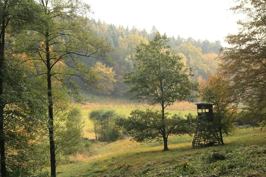 Poľovnícky posed pod stromami na okraji jesennej lúky