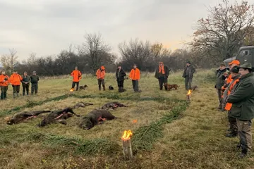 Výlož ulovenej diviačej zveri s fakľami a čečinou